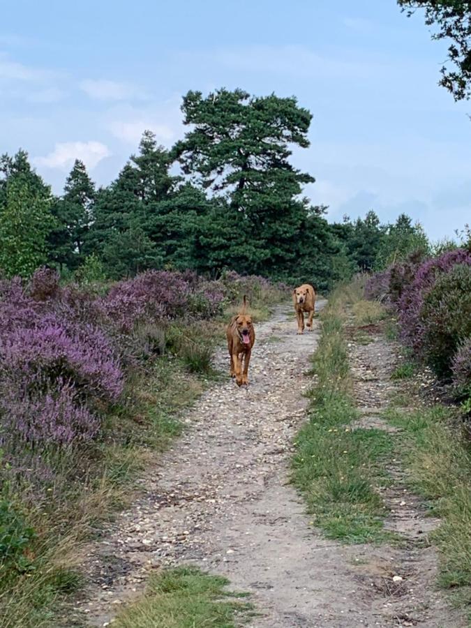 Bed and Breakfast Haarles Landleven Exterior foto